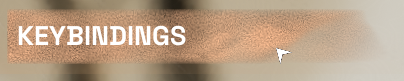 mceclip1.png